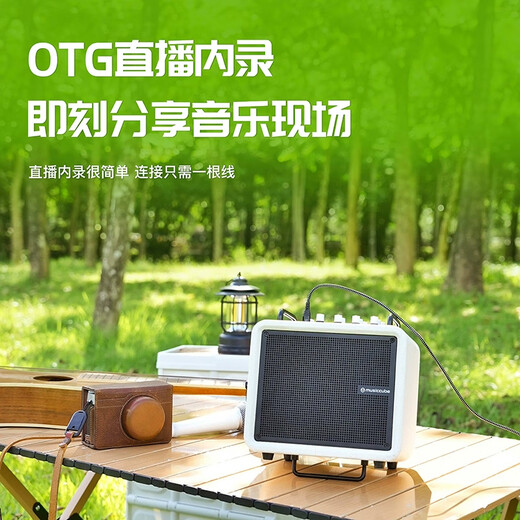 Music Knight H6 musical instrument guitar audio playing and singing electric blowpipe saxophone Bluetooth outdoor live broadcast karaoke speaker H6 red + standard