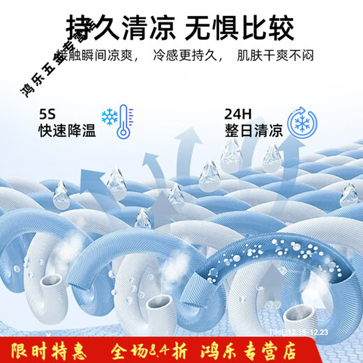 溥畔客厅地毯2025新款夏季轻奢感冰丝凉席榻榻米地垫房间免洗可擦 四季款-宜沐13566 200CM*300CM