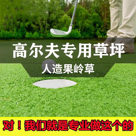 Artificial simulated turf carpet, fake turf, artificial turf floor mat, balcony canopy, silencer mat, outdoor insulation mat. German six-star green base model, 2 cm encrypted spring grass (3 meters wide). Just take a few photos if you need as many meters long as you need.