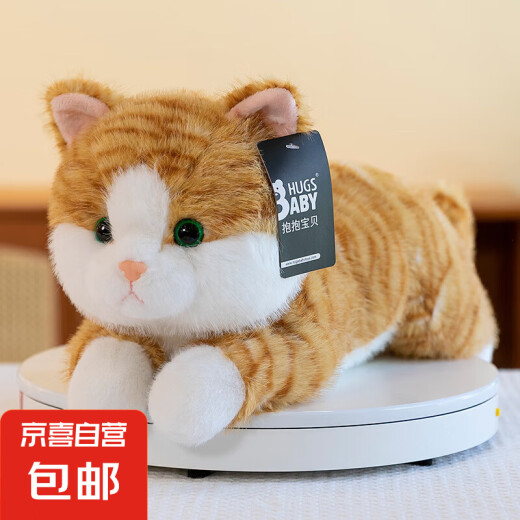 Chaton peluche jouet mignon chat orange chat simulation poupée somniers étrein