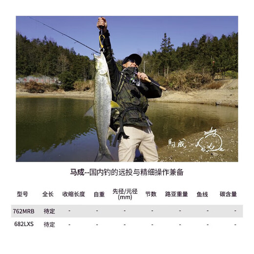 达亿瓦（DAIWA）高端21款ZILLION子龙竞技路亚竿比赛远投碳素鱼杆鲈钓精细作钓 2.03m 川村682/MLFS(中软直柄