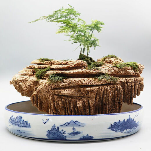 Water-absorbing stone 10-160CM natural water-absorbing stone raw stone water stone stone mountain bonsai rockery fish tank landscaping ornaments micro only stone 10-14 water-absorbing stone package