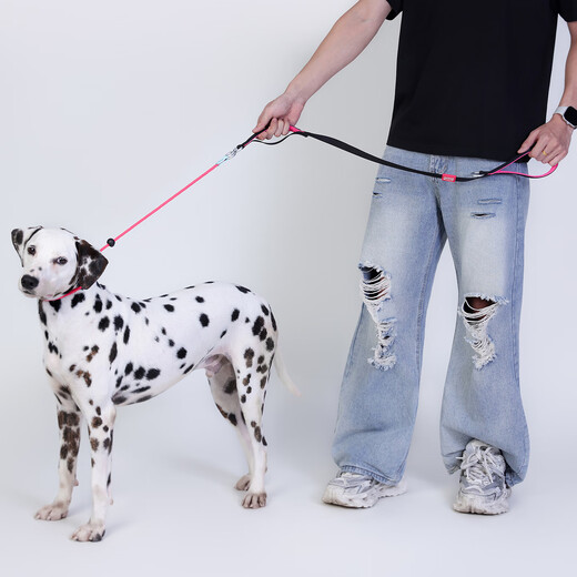 Cat 80,000 dog P rope explosion-proof training dog leash dog rope chest harness small, medium and large dog P chain Y19 black