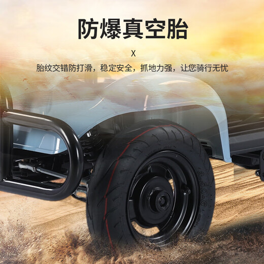 Feige four-wheel electric car for the elderly to pick up and drop off children, the elderly and disabled battery car, compact anti-rollover electromagnetic brake, 800W60v24A5 black gold battery, about 110 miles