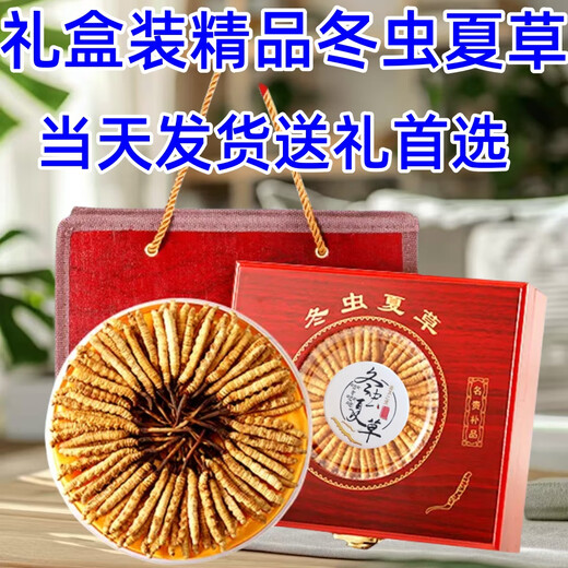 Boîte-cadeau CordyCeps 2025 Premier chaume nouveau Cordyceps séché sélectionné Cordyceps authentique garanti de l'expédition le même jour. Les plus beaux cordyceps du Tibet 4 pièces 1 gramme 30 pièces