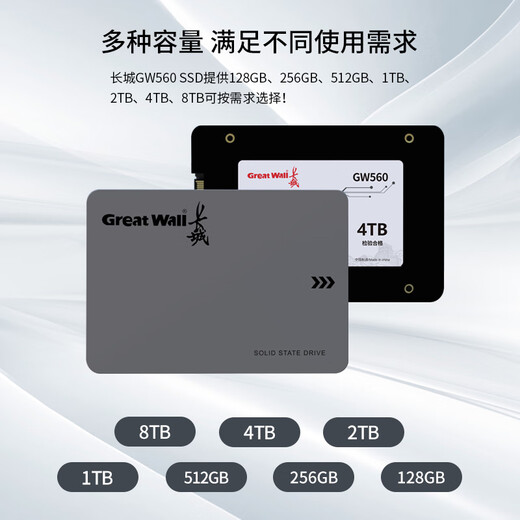 长城（Great Wall) 128GB SSD固态硬盘 SATA3.0接口 读速540MB/S台式机/笔记本通用 GW560系列 