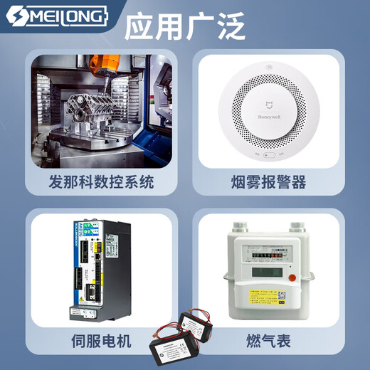 全新原装FANUC发那科 IC695ACC302  3V 15AH GE模块电池 IC695ACC302-BB IC695ACC302