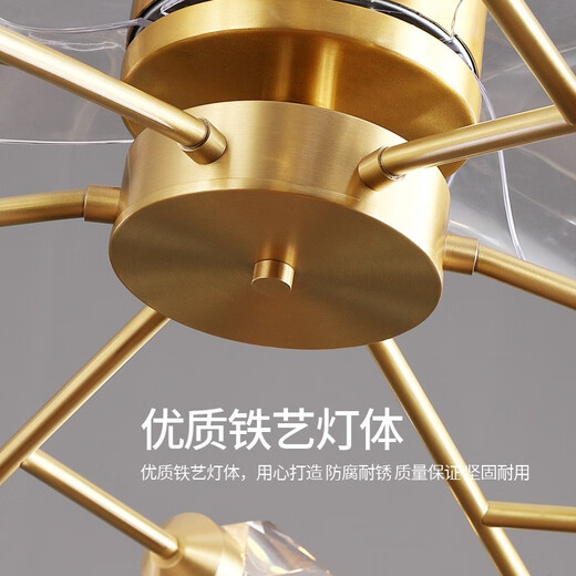 欧普照明（OPPLE）新款全铜北欧轻奢水晶风扇灯现代变频隐形餐厅卧室吊扇灯分子客厅 1W FS9923全铜12头115CM三色