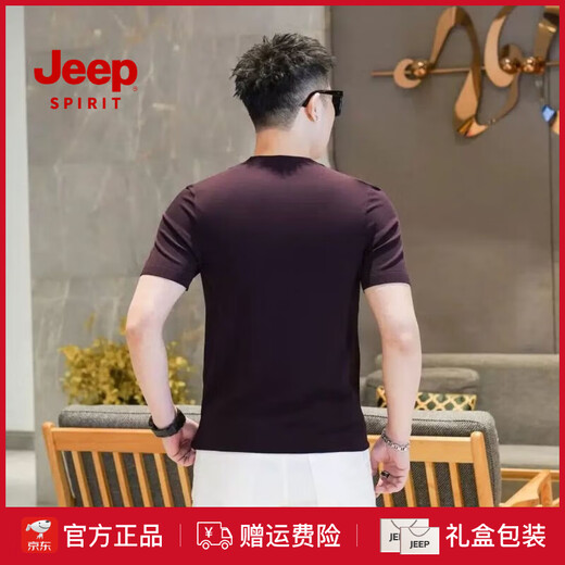 JEEP SPIRIT针织冰麻短袖T恤男士新款轻奢冰丝时尚半袖体恤休闲品质男装 9902绿色 M 【90-115斤】