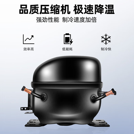 
Xingxing (XINGX) display cabinet refrigerated freezer commercial fresh-keeping cabinet beverage display cabinet large capacity freezer beer fruit vegetable supermarket restaurant kitchen refrigerator vertical freezer 880 liter double-door copper pipe fresh-keeping cabinet BC-980Y