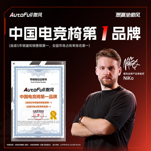 Aofeng A4 gaming desk solid wood electric lift table computer desk state-subsidized office desk gaming room 1.2*0.6m