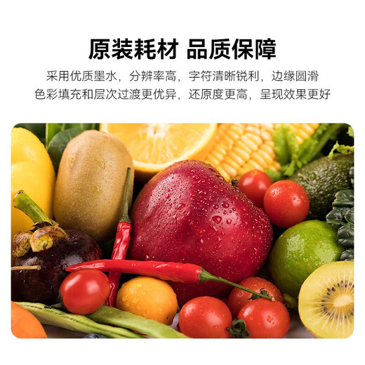 Epson (EPSON) T05N1/T05U ink cartridge original WF-4838 WF-7848 printer T05N1/05U color WF7848/7318