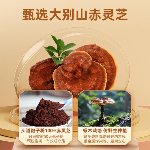 Yisenyuan Breaking Wall Ganoderma lucidum spore pulver nährstoffverstärkung Immunität postoperative Ergänzungsmittel Geschenkbox Ernährungsprodukte Gesundheitsprodukte [Gesundheitsgeschenk] Ganoderma lucidum spore puder 2g*30 Beutel*3 Kisten + 1 Geschenktüte