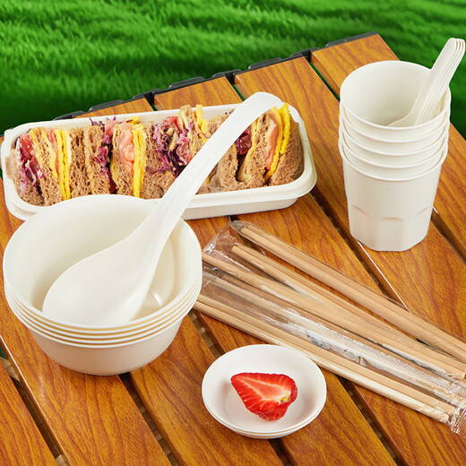 SHUANG YU disposable tableware set for 5 people (bowl + cup + large spoon + small spoon + chopsticks + plate) environmentally friendly picnic tableware