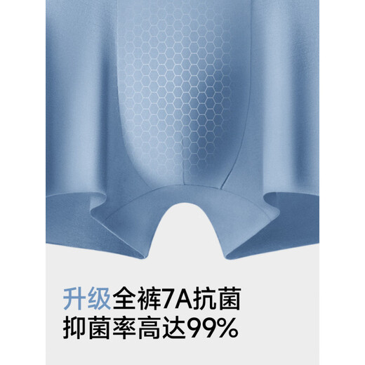 Seven Wolfs SEPTWOLVES Seven Wolfs Men's Underwear for Men's Ice Silk Modal New Summer Cool Flat-Angle Men's Boxer Shorts Men's Selected Gift Box [80 Modals] 3891 L (waist circumference 2.1-2.2 feet 100-120 Jin [Jin equals 0.5 kg])