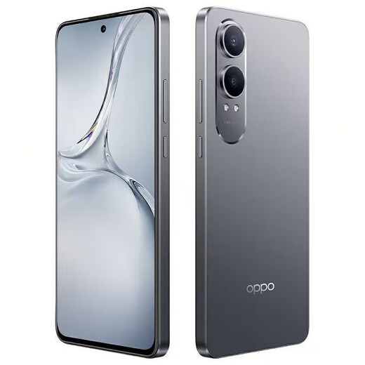 OPPOK12X 5G Téléphone mobile Dual-Sim Double Snapdragon 695 Processeur 6,67 pouces Ultra-définition Grand écran 5500mAh Batterie grande batterie 80W Fast Charge Backup des étudiants K12X [Condensation Green clair] + Accessoires de charge rapide 8 Go + 128 Go [Package un]