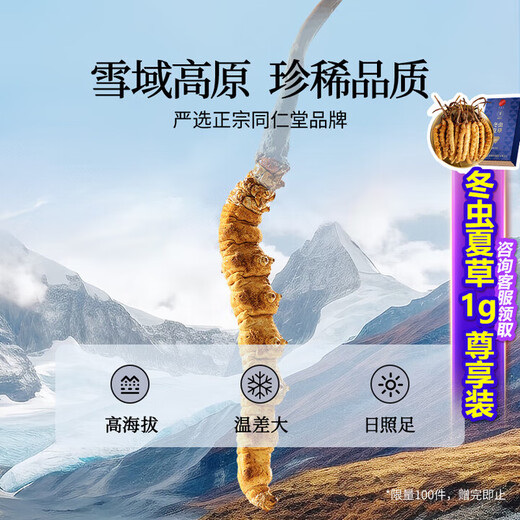 同仁堂品牌冬虫夏草约5根/g10g高端礼送长辈父母滋补营养礼盒北京同仁堂