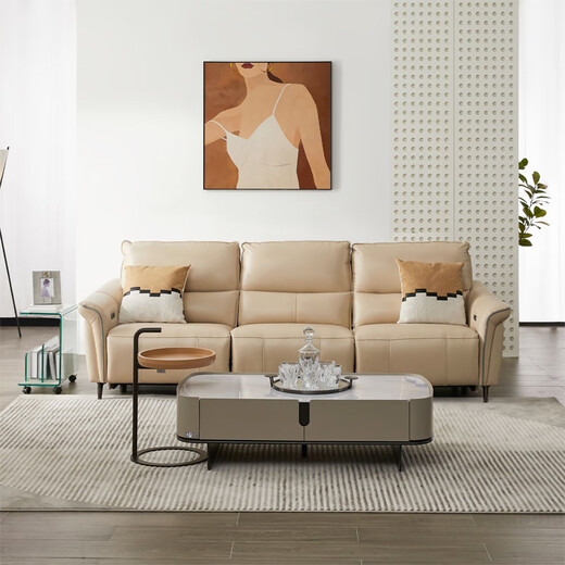 
Zhihuashi First Class Zero Wall SE-U11167BM Zero Modern Living Room Top-Level Cowhide Electric Function Sofa Moonlight White Three-person 269cm - Double Electric
