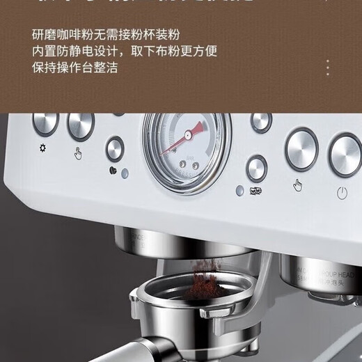 
Petrus PE3899 dual boiler Italian full semi-automatic coffee machine household milk frothing machine grinding machine small machine