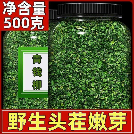 北京同仁堂青钱柳茶泡水喝的东西野生无特级正品金钱柳清钱柳嫩叶养生茶叶 野生青钱柳颗粒茶 送父亲节生日礼物 500克