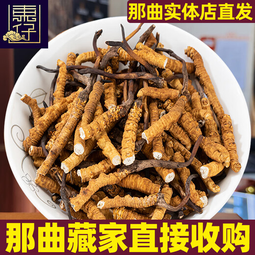 Dongzai [Narqu, Tibet] Wild Cordyceps sinensis hoher Höhe wild getrockneter Cordyceps Sinesis Tonic Gift Box für Älteste [Narqu, Tibet] 5 Wurzeln/G-Erschwinglich für Selbstverwendung 5 Gramm (Geschenkbox)