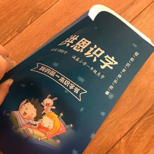 洪恩识字1300字1-5季 识字书 识字 绘本 识字卡片 洪恩识字第二季 洪恩识字季