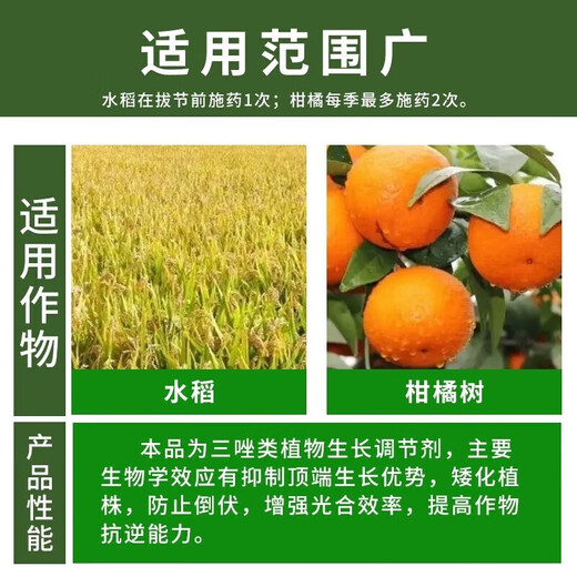 Jianpai 10% Uniconazole pesticide citrus and lychee shoot control flower promoter control shoot growth control pepper harvest old drug Uniconazole 500g