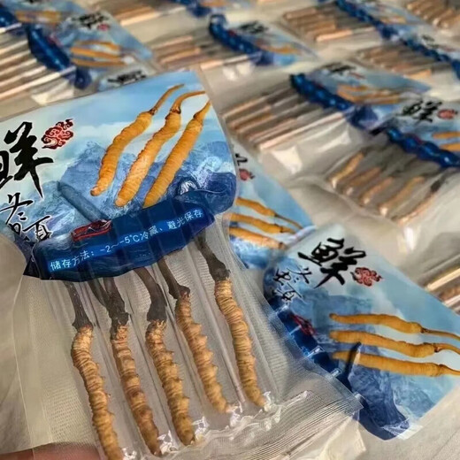 Fresh Cordyceps sinensis 2025 first-year Cordyceps authentic leader high-altitude gifts authentic fresh Cordyceps festival 1.2 grams/root or more 50 high-end gift boxes