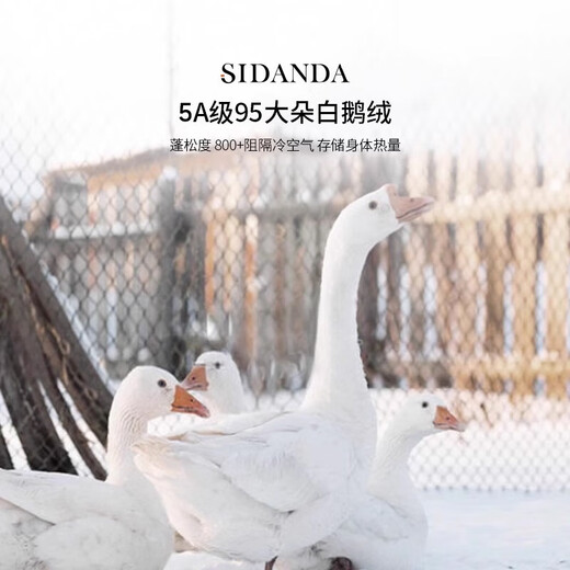 
SIDANDA down quilt 5A grade 95 white goose velvet 120 cotton antibacterial filling 1365g thickened winter quilt 220*240cm