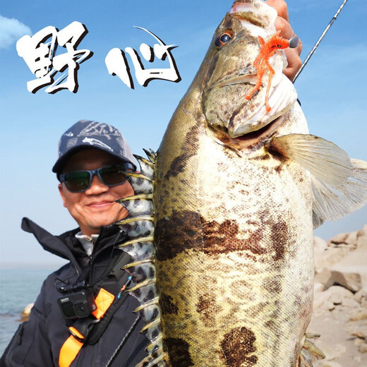 蓝旗鱼新款野心超快调鳜鱼路亚竿轻量化高感度独节虫竿鲈鱼钓鱼竿 682m C(2节)(送路亚背包) 1.98m