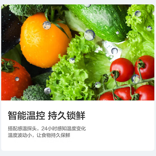 Panasonic 2025 new product refrigerator three-door 303 liters first-class energy efficiency silver ion antibacterial automatic ice making -3 micro-freezing fresh-keeping household refrigerator NR-30CAGEC-S