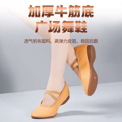 Square Dance Teacher Schuhe Outdoor Erwachsene weiche Sohle Frauenbauch Klassische ethnische moderne Tanzpraxis Balletttanzschuhe Kamel Farbe 2 cm Flat Heel 37
