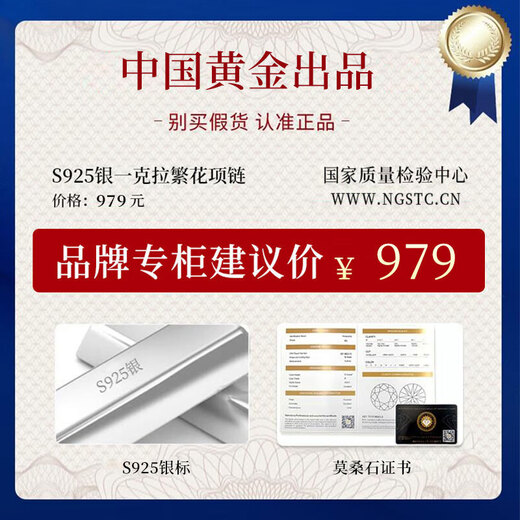 Central Chuang Fashion Chinese Gold and Silver Necklace Girls 2025 New Light Luxury Niche Birthday Gift Ladies Girlfriend Girlfriend S925