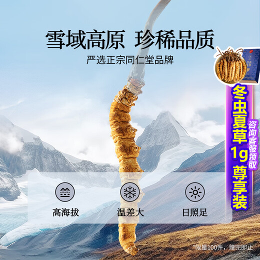Tongrentang Brand Beijing Tongrentang Cordyceps Sinensis à propos de 5 racines / G10G Cordyceps Boadt haut de gamme Tonics de cadeau haut de gamme pour les personnes