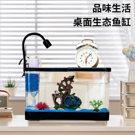 Turtle tank household landscaping filter cycle sunbathing platform climbing platform acrylic ecological mixed fish tank small turnover box sunbathing lamp