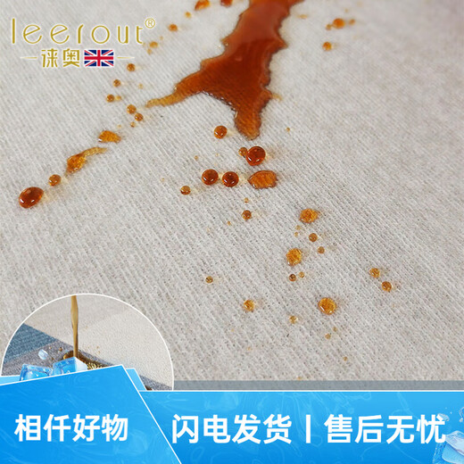 徕奥leerout客厅地毯免洗可擦沙发地垫大面积全铺房间高级感家用防水 简约13567号 300cm*200cm(耐磨耐用)