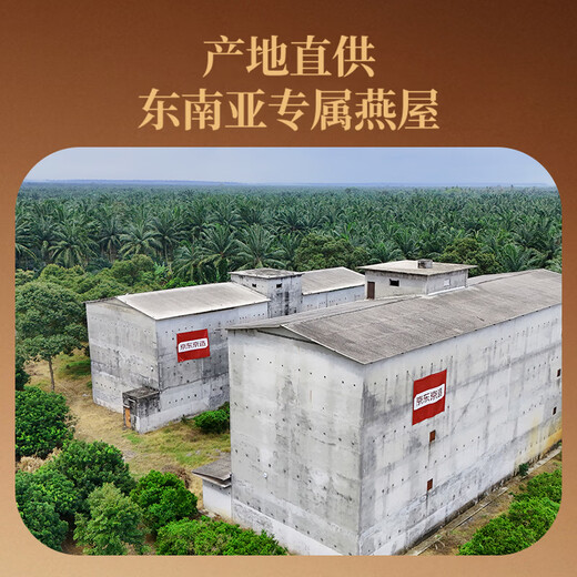 京东京造 燕窝干盏大密盏100g礼盒 溯源干燕窝七夕节礼物孕妇营养补品