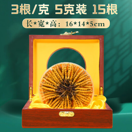 Zangyou auténtico Cordyceps Box Box Tonic para la primera etapa del regalo de Cordyceps para líderes de ancianos y padres [calidad estrictamente seleccionada] 3 palos/G-5 gramos-15 palos [Recomendación de título]