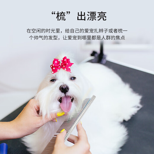Laiwang Brothers pet grooming comb dog and cat combing stainless steel comb beauty hair comb artifact fluffy hair knotting hair combing trumpet