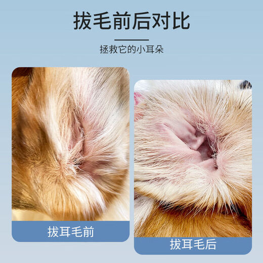 Huameilong pet ear hair pliers for cats and dogs, Teddy Bichon ear canal cleaning artifact, straight head stainless steel ear hair pliers, new batch