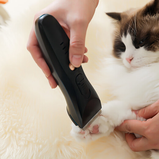DSRAWMYT pet shaver, dog electric clipper, hair clipper, electric clipper, beauty styling pet cat shaver