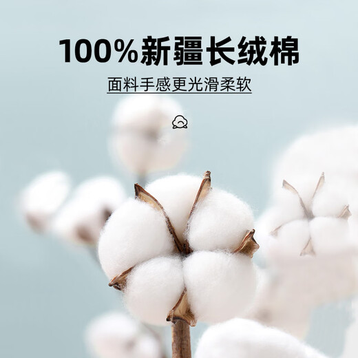 恒源祥[100%纯棉免烫]长袖白衬衫男士高档春秋季商务休闲正装西装衬衣 长袖6625藏青条纹 43 [体重175斤-185斤]