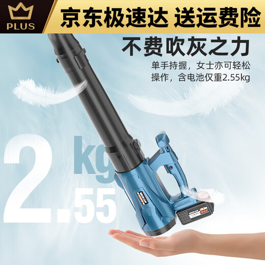 德韵充电锂电鼓风机吹风机吹灰机工业大功率吹尘落叶吹雪机电动农具 DY风暴蓝9888TV一电一充-款