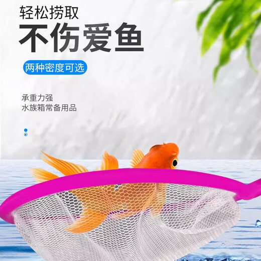 Fish tank, children's fishing net cleaning and testing equipment, small fish copy net, children's fishing net, dragonfly butterfly net, pocket copy net, fishing net - small size - 1 pack No Specifications