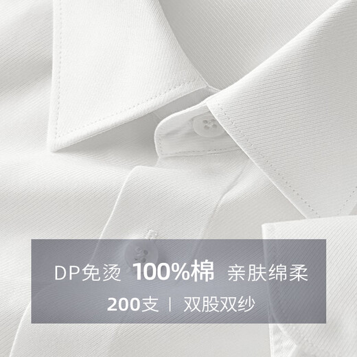Shanshan 200 count DP no-iron long-sleeved white shirt men's four-season high-end business solid color cotton anti-wrinkle shirt