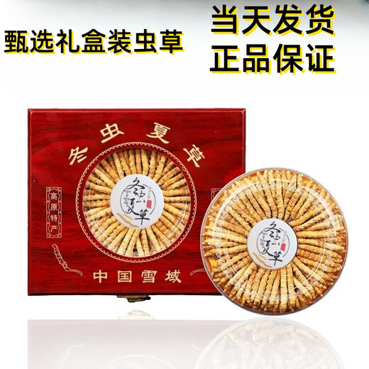 
Luzhangtang Cordyceps gift box is authentic Tibetan snow mountain Cordyceps gift gift quality guaranteed to ship on the same day. Tibet Naqu fine cordyceps 2 pieces 1 gram 50 pieces