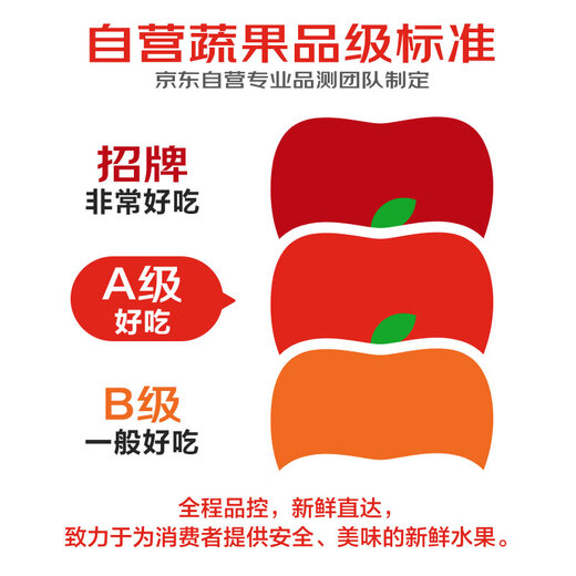 Jingxian Raw Lanzhou Fresh Lily Sweet Lily Total 1Jin Jin is equal to 0.5kg 1 bag of 4 fruits (single fruit is about 125g) fresh vegetables straight from the source