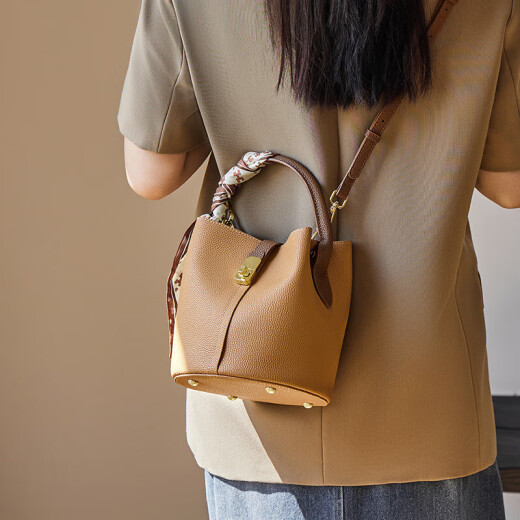 REESSY International Light Luxury Brand Bag Bolse para mujeres 2025 Nuevo bolso de hombro Bolsos cruzados para mujeres Bolso de bolso de bolso de bolsillo de albaricoque de albarico