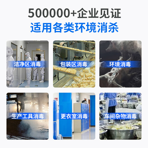 ANLEAVO ozone generator food factory disinfection ozone machine industrial workshop school hospital municipal garbage room cold storage warehouse archives air purifier sterilization, deodorization and odor removal 60g/h (applicable to 600-700 square meters)