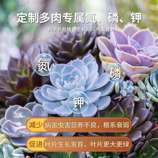 Succulent fertilizer special fertilizer nutrition granules for household flower potting nitrogen, phosphorus and potassium compound long-acting controlled-release fertilizer slow-release fertilizer 20 packs individually packaged - with trial pack